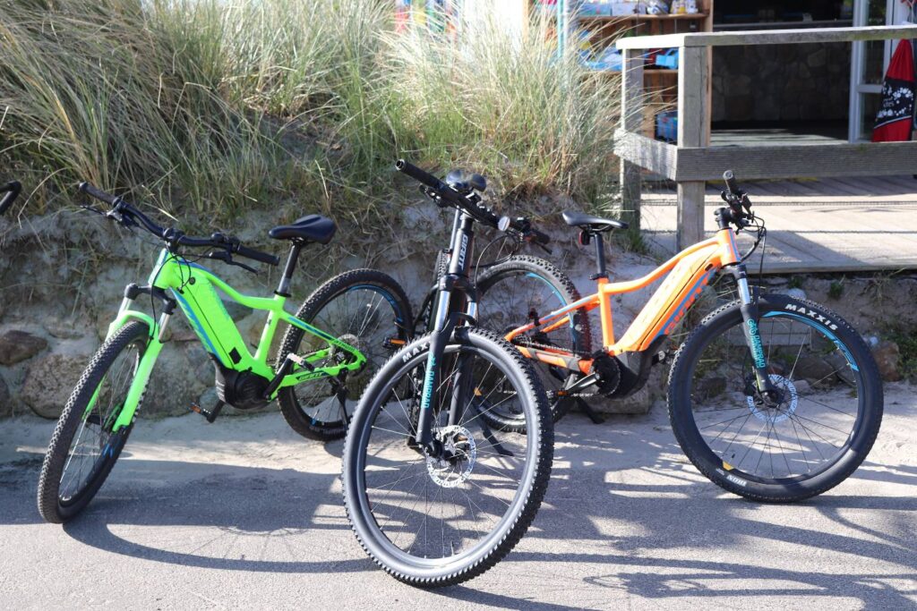 Auswahl Mietfahrräder